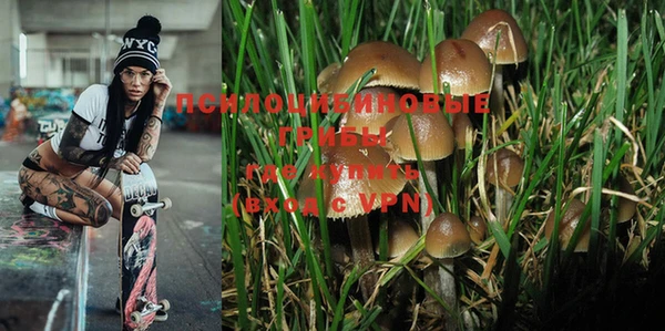 jwh Ростов