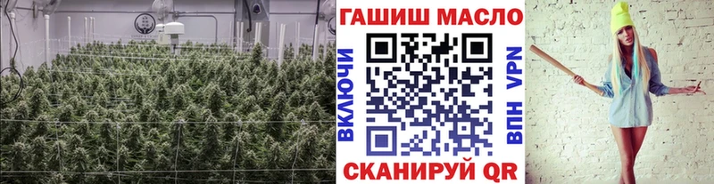 где продают наркотики  Володарск  ТГК вейп 
