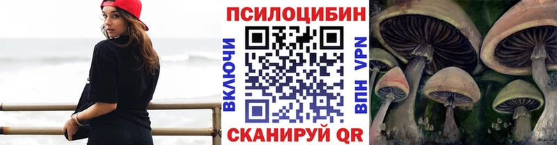 как найти закладки  blacksprut маркетплейс  Галлюциногенные грибы Psilocybine cubensis  Володарск 